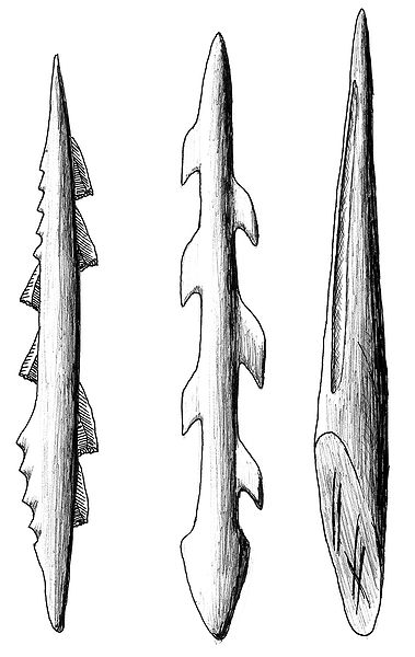 File:379px-Proyectiles oseos Magdaleniense.jpg