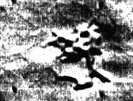 File:Marsano1.jpg