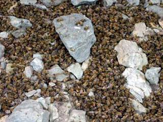 File:Clip image003.jpg