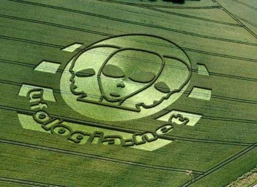 File:Cropcircles.jpg