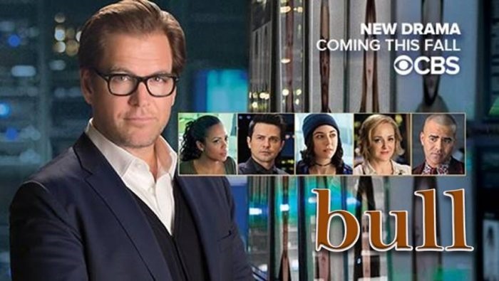 File:Bull.jpg