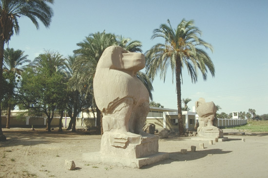 File:Elmin02.jpg