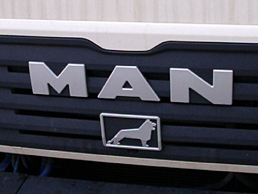 File:MAN logo.jpg