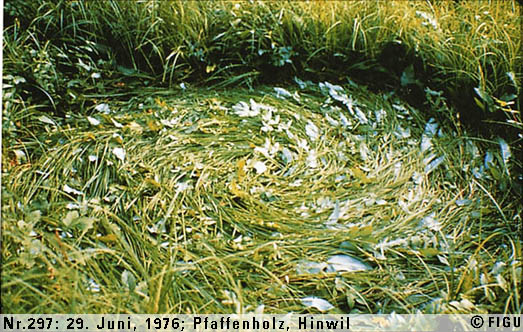 File:F0297.jpeg
