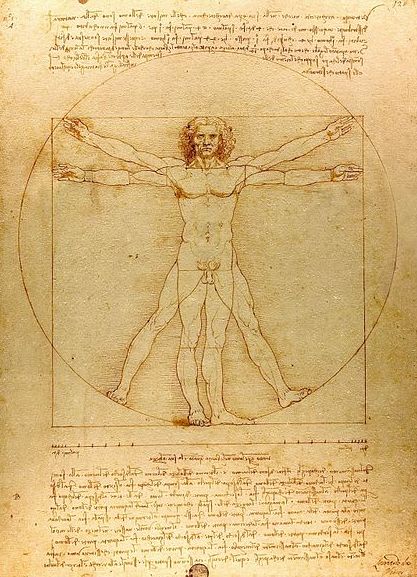 File:Da Vinci Vitruve Luc Viatour.jpg