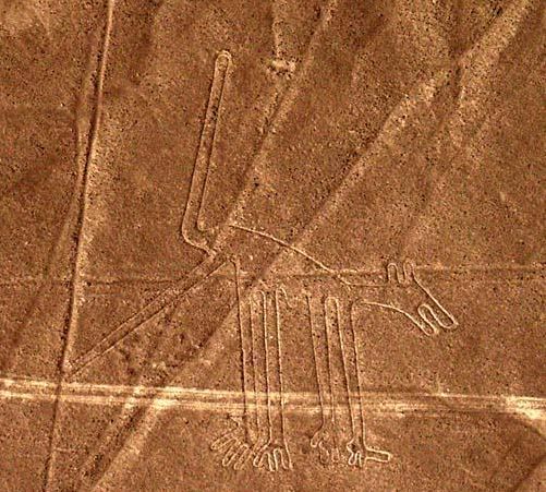 File:Nazca dog.jpg