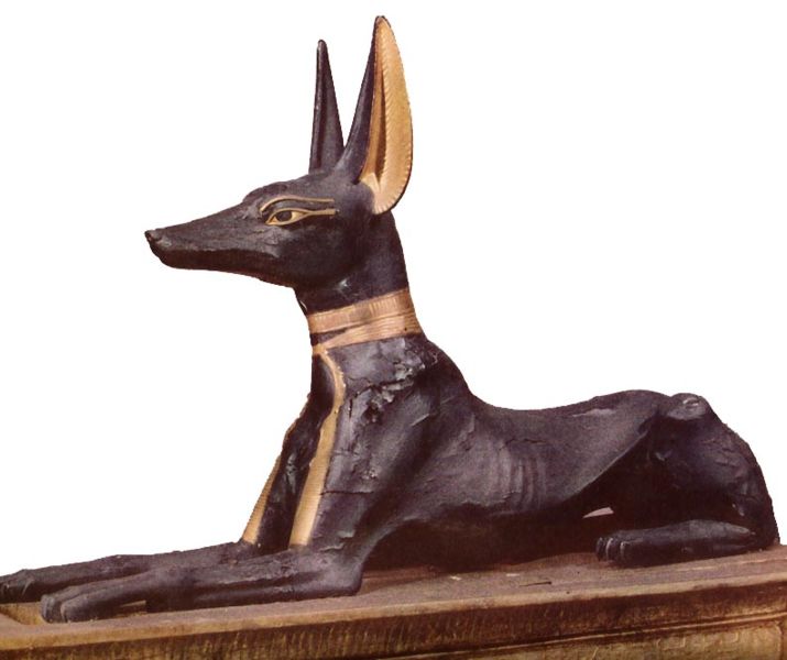 File:715px-Anubi.jpg