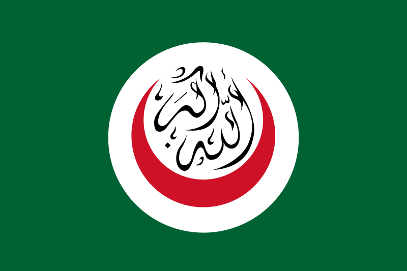 File:Flag of OIC svg.png