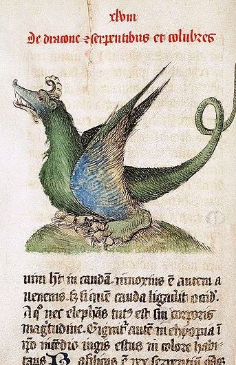 File:362px-Meddragon Liber Floridus Lambert of sint Omaars 1460.jpg