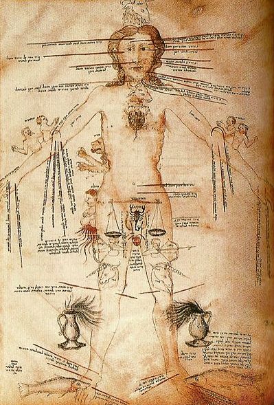 File:400px-Astrological signs and human body parts 14th century.jpg