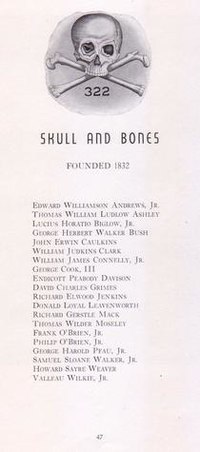 File:Skull and bones.jpg