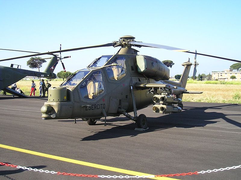 File:Mangusta.jpg