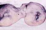 File:Alieno 1.jpg