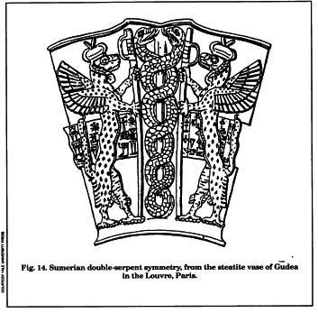 File:Fig14.jpg