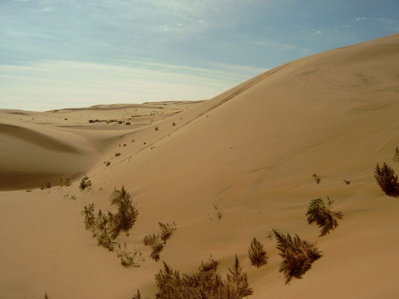 File:800px-Gobi Desert.jpg