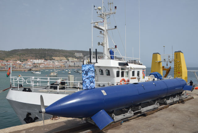 File:Bluewhale.jpg