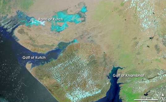 File:Gujarat Gulfs.jpg