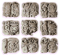 Alcuni glifi Maya