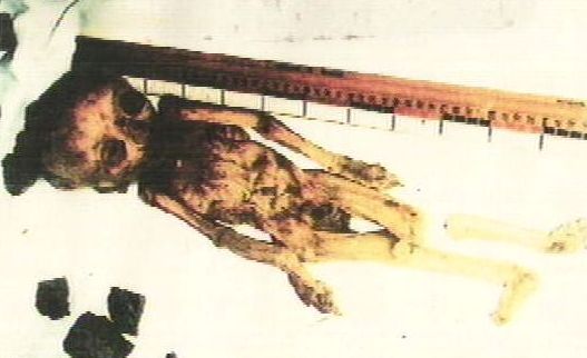 File:Dropa.jpg