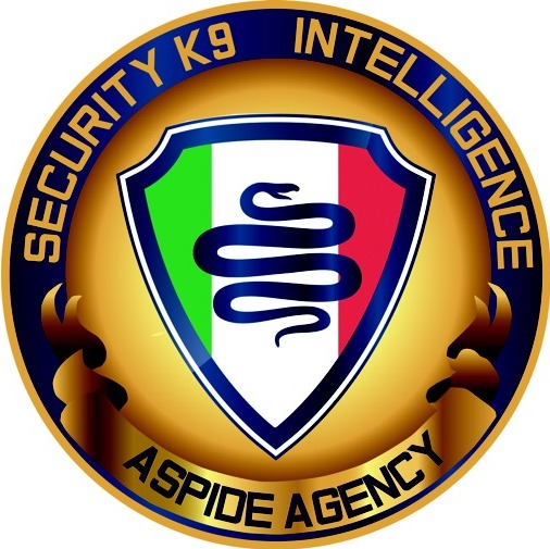 File:Logo ASPIDE AGENCY.jpeg