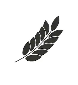 File:Barley-icon-on-white-background-260nw-331182101.jpg