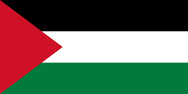 File:Flag of Palestine.svg.png