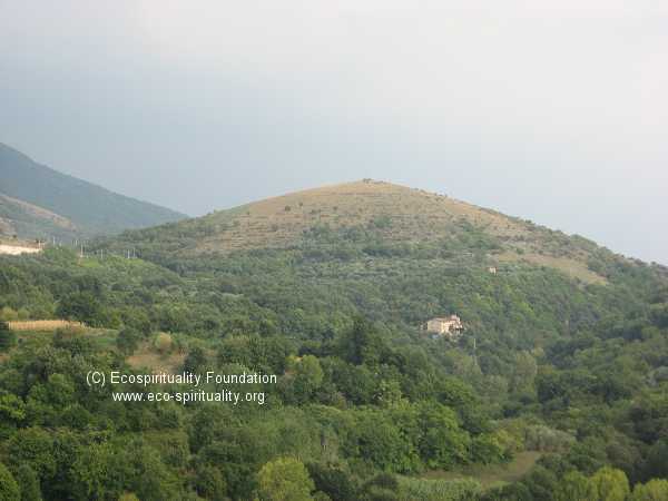 File:Bnv-05.jpg