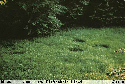 File:F0462.jpeg