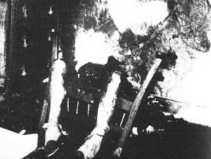 File:Shc2.jpg
