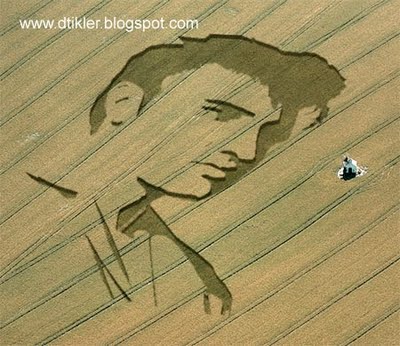 File:Elvis-crop-circle.jpg