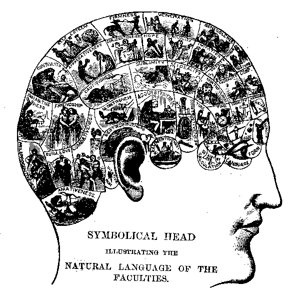 File:Phrenologychart.png