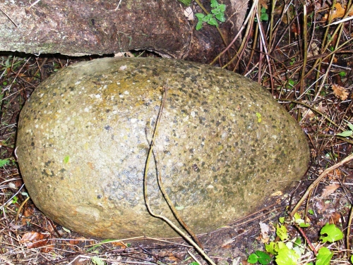 File:3994862657.jpg