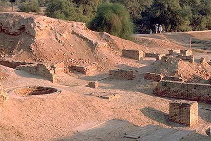 File:Har wam05.jpg