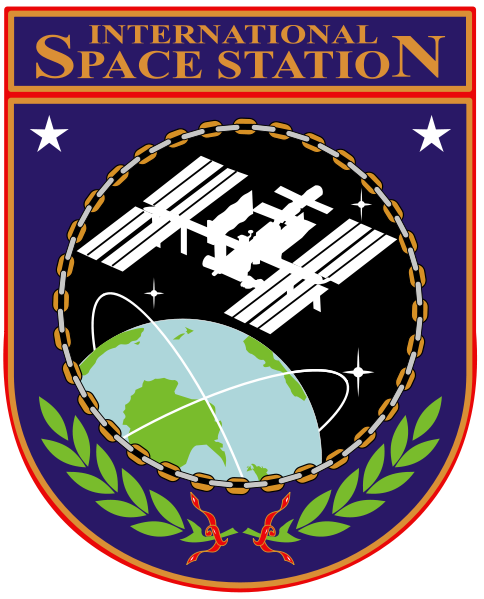 File:ISS insignia svg.png