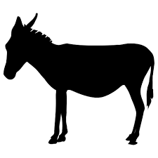 File:Imagesdonkey.png