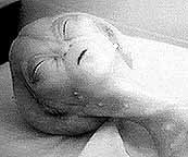File:Alien aut 2.jpg