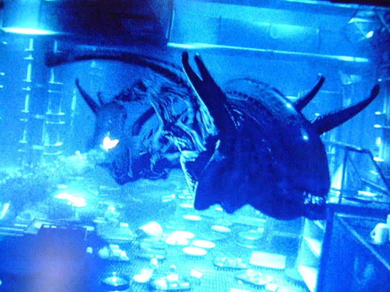 File:800px-Alien 4 tre 010.jpg