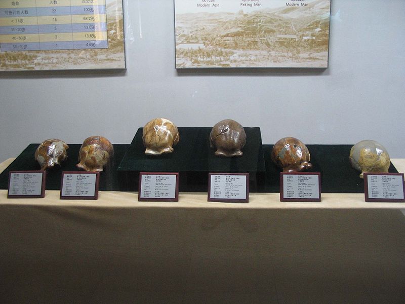 File:800px-Zhoukoudian-2.jpg