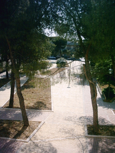 File:PIC01070 large.jpg