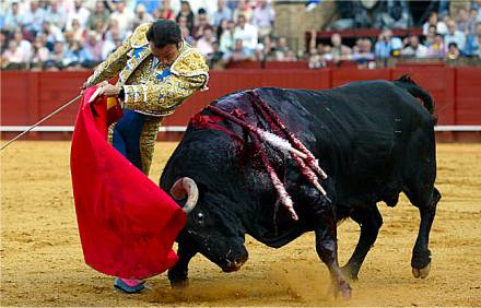 File:Corrida vietata.jpg