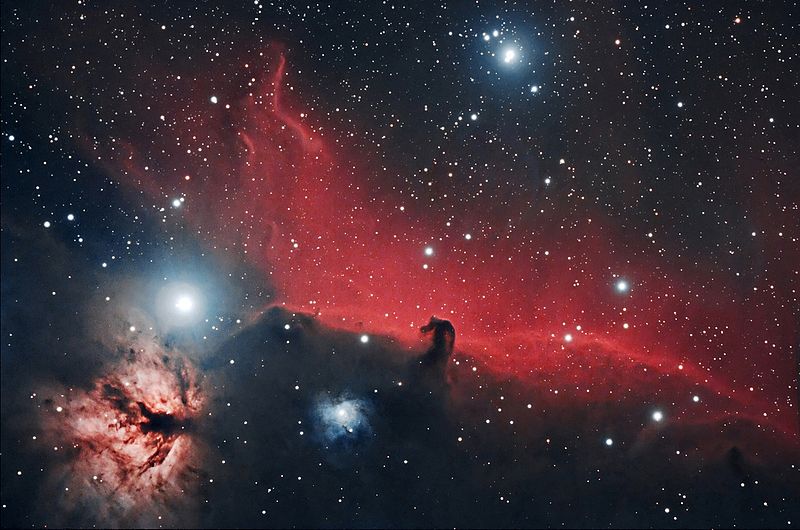 File:HorseheadHunterWilson.jpg