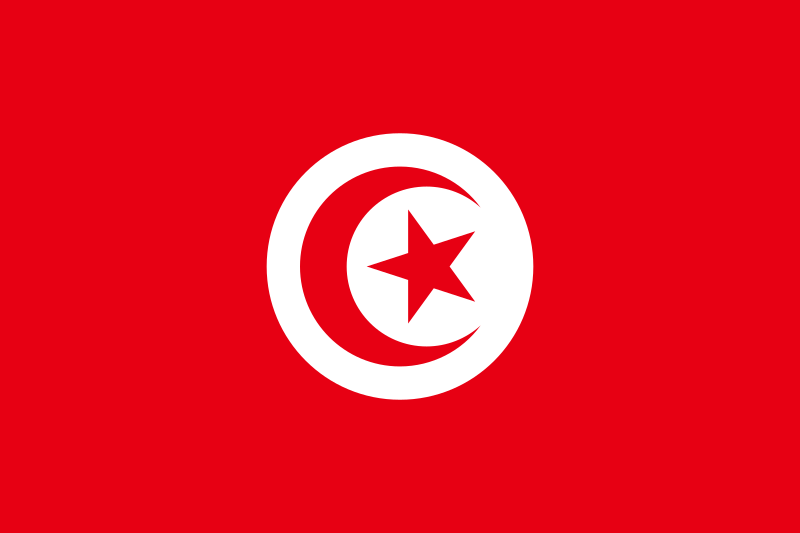 File:Flag of Tunisia.svg.png