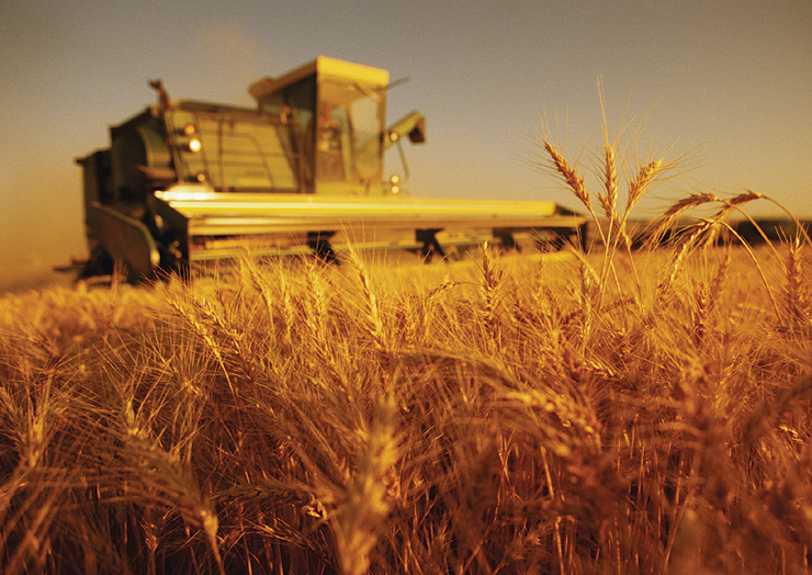 File:Agri.jpg