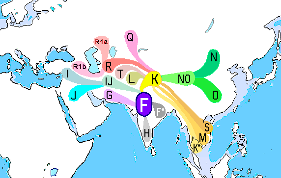 File:Haplogroup F 28Y-DNA29.png