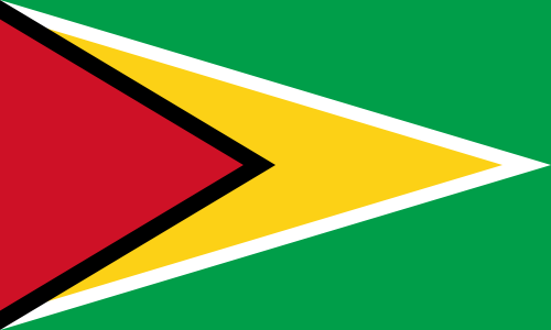 File:Flag of Guyana svg.png