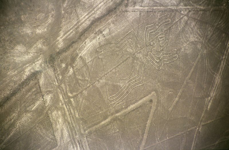 File:800px-Nazca-lineas-arana-c01.jpg