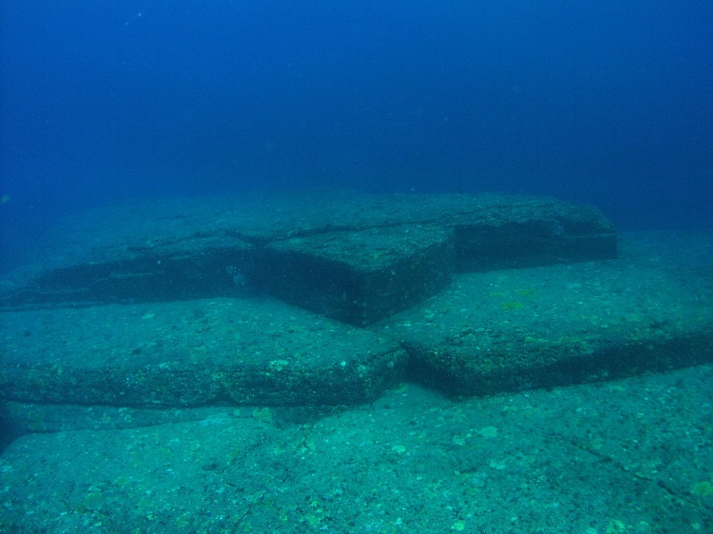 File:Turtleyonaguni.jpg