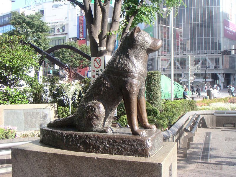 File:Hachikostatue.jpg