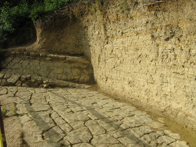 File:4325561ki6.jpg