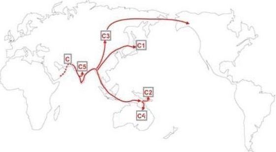 File:C3DM130-Migration.jpg